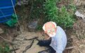 “水漫膝盖”原是虚惊一场