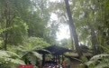 “排队3小时打卡1分钟” 多景区迎“泼天流量”