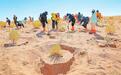 甘肃民勤将在地图上消失?这些青年向沙而行誓打破预言