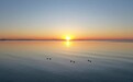 日照这幅“海上春耕图”，太治愈了