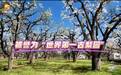 花样甘肃“金”彩蝶变　游客沉浸式体验田园生活