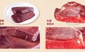 养宠人必看！90%宠主喂生骨肉忽略自来水污染？双防护+6家品牌实测指南