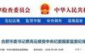 深耕江苏29年，合肥市委书记费高云今落马（附简历）