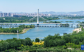 河北石家庄：初夏滹沱河景如画
