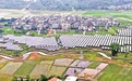 遂川县：农光互补（图）