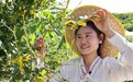 鲁山县：柞蚕生产进入关键管护期 科学养殖筑牢丰收根基