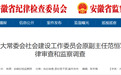 安徽省纪委监委通报！