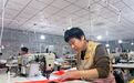从“闲散地”到“致富车间” 定州东杨村小微加工企业织密家门口就业网！