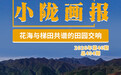 甘肃武山：花海与梯田共谱的田园交响