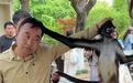 上海野生动物园蜘蛛猴“豆豆”与饲养员互薅头发视频走红