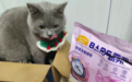麦富迪霸弗烘焙猫粮，撑起猫咪肠胃保护伞