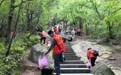 小手拉大手，文明护青山！抚州志愿者走进灵谷峰