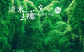 宁波“绿野仙踪”火了！听说都在找~