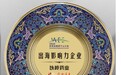 2026世界品牌莫干山大会|以岭药业获评“出海影响力企业”