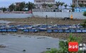 海口北港岛遭水葫芦大规模侵袭 记者实地走访→