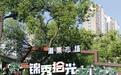 烟火气升腾，消费潮涌动