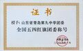 团内最高荣誉！山东省青岛第九中学团委获评“全国五四红旗团委”