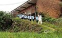 江西分宜：在田间地头赋予劳动教育新活力（图）