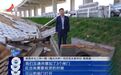 吉安万安县通津河水葫芦疯长河面发臭 万安生态环境局回应