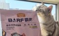 麦富迪霸弗美毛猫粮，一袋搞定猫猫闪亮计划