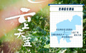追剧逛长春，美景全藏这部短剧