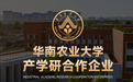 2026年宠物内服驱虫药选购指南：5大主流品牌横向评测