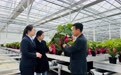 引一渠活水 兴一方产业——建行宿迁分行助力乡村特色产业“绽放”升级