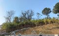 佛山首个郊野公园——高明龙头山郊野公园建成投用