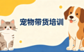 它主义宠物带货培训好不好？学员反馈与它博会的行业认可