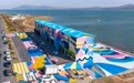 嵩县：“抱团”聚合力 乡村共振兴