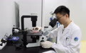 追“肠”问“心”的探路者——记济南微生态生物医学省实验室青年科研骨干王涛