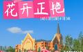 繁花入夏，邂逅九州洼绝美月季盛景