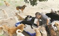 南昌65岁老人耗尽毕生积蓄 10年累计救助500余只流浪犬
