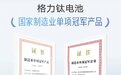 深度观察：格力钛获单项冠军，揭示了中国新能源产业怎样的未来走向？