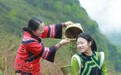 东西部协作｜一颗蕨菜的出海之旅 见证甬凉东西部产业协作累累果实