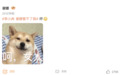 李小冉调侃谢娜管不了自己 谢娜发可爱表情包回应