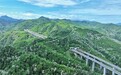 江西萍乡：桐花盛开，山乡美景如画（图）