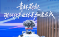 山东：青林蔚起，现代化产业体系加速长成