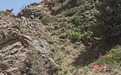 岩壁精灵祁连山组团撒欢　有被震撼到