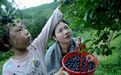 江西德兴：游客采摘感受“莓”好乐趣（图）