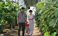 廊坊市固安县：农旅融合促增收
