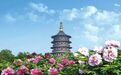 洛阳牡丹保护发展模式入选全国典型案例