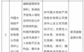 大地财险普洱中心支公司被罚款46万元 因编制虚假财务资料等