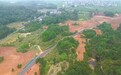 江西鹰潭：绿了山头 富了心头（图）