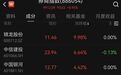“牛市旗手”，突然全线拉升