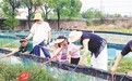 露营烧烤、萌宠乐园……南昌“00后”新农人打造年轻化沉浸式田园体验
