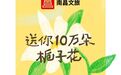 南昌这个周末，心思“栀”为你花