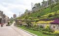 蛇山山麓千米步道串起黄鹤楼与长江大桥