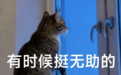 国产Agent模型闯入全球第一梯队！限时免费
