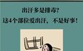 出汗多是排毒？这几部位爱出汗不是好事